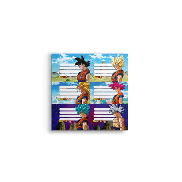 Set Etiquetas Adhesivas "Dragon Ball" x12 - Mooving