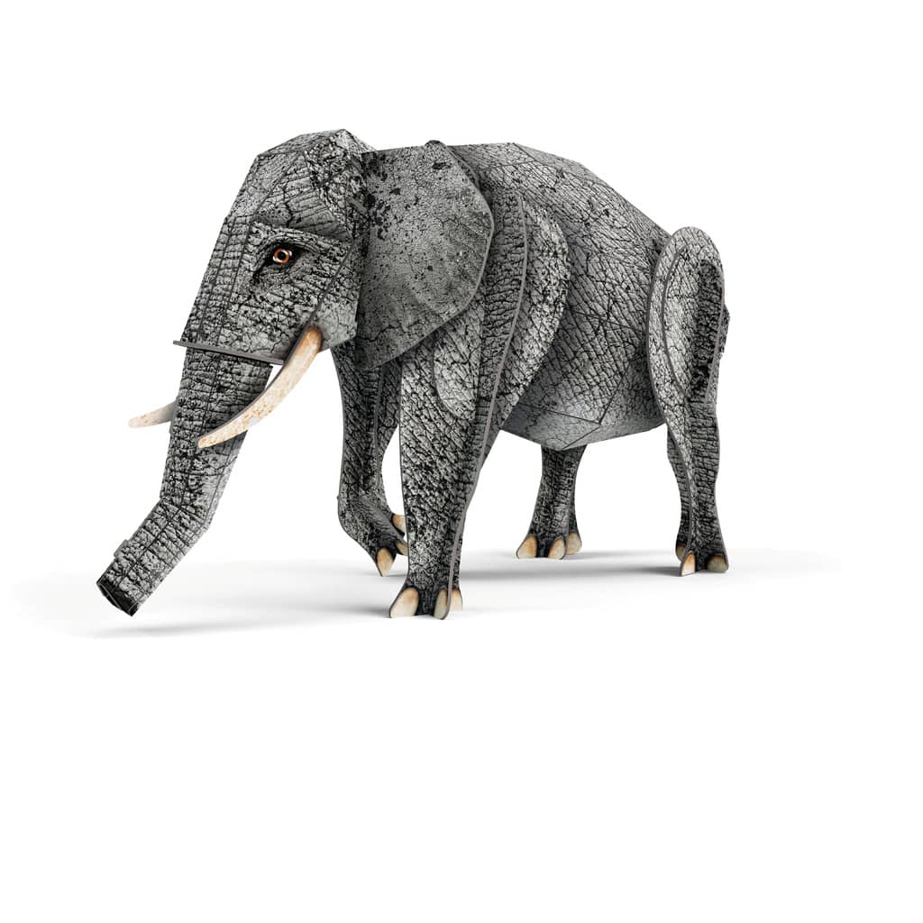 Maqueta + Libro La Selva - Manolito Books