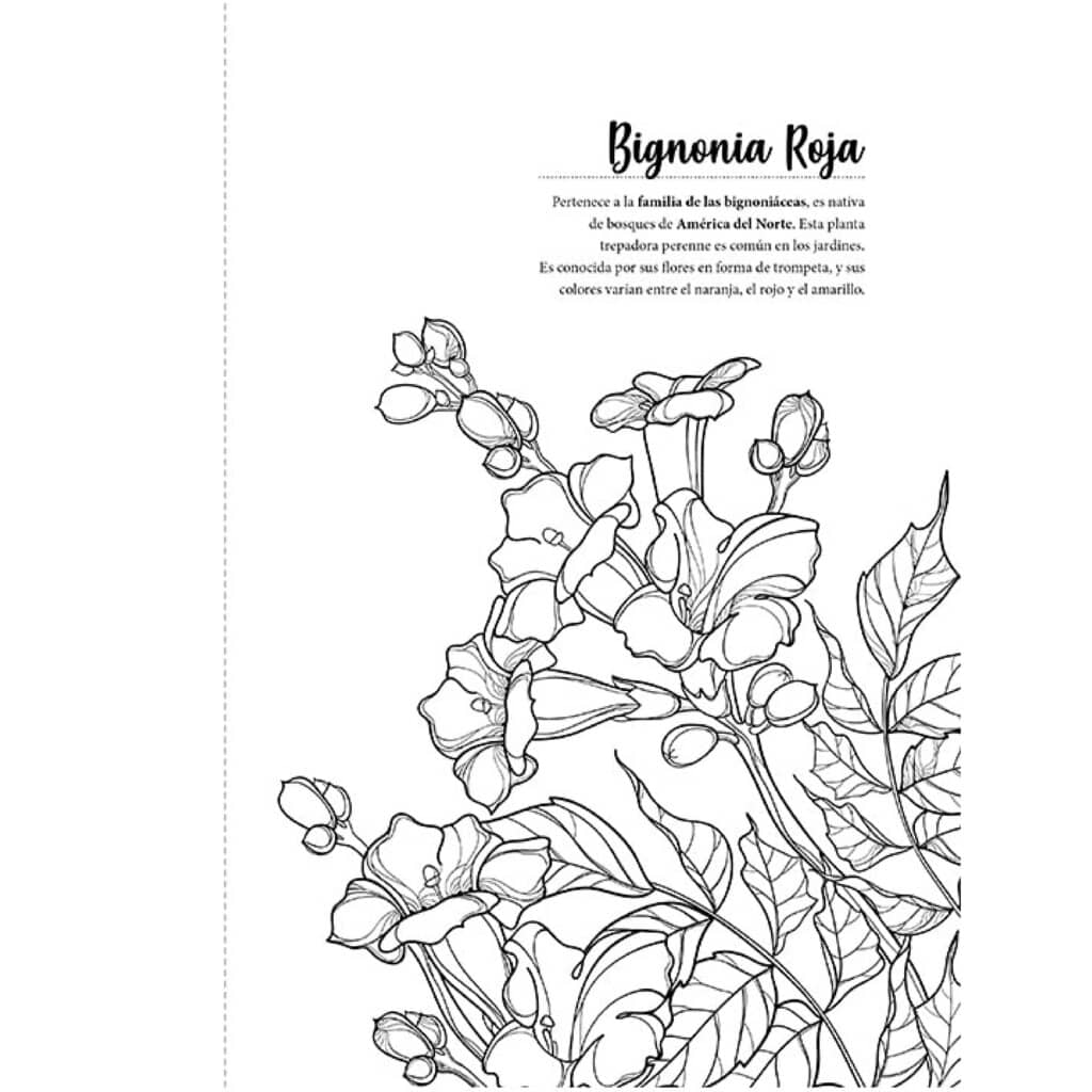 Libro para Colorear Arte Florar